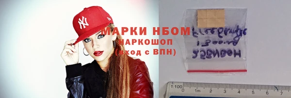 твердый Инсар