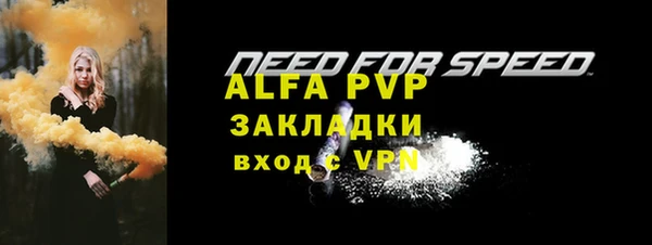 твердый Инсар