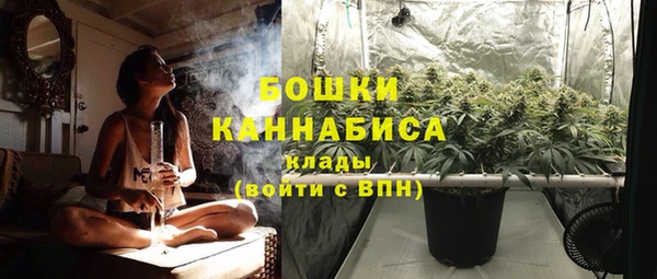 бошки Иннополис