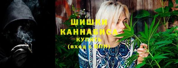 твердый Инсар