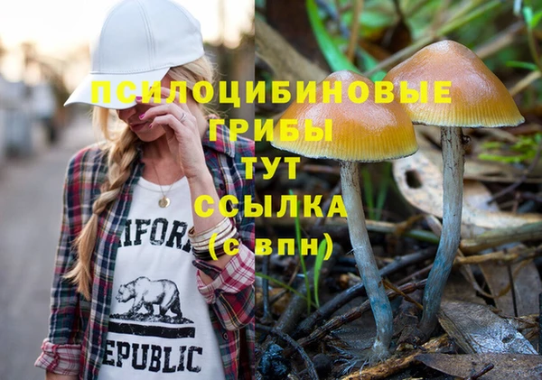 твердый Инсар