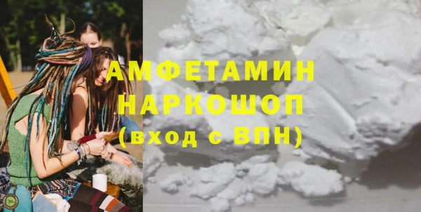 твердый Инсар