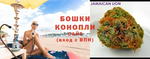 твердый Инсар