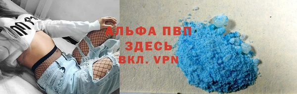 твердый Инсар